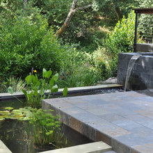 Landscape Ideas