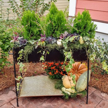 2017 Parade of Homes: Seashell Cottage--Patio