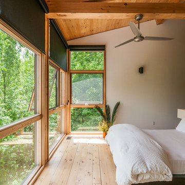 Tree Top Modern