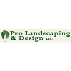 PRO LANDSCAPING AND DESIGN LLC