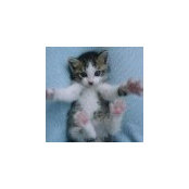Lynn Wright's photo