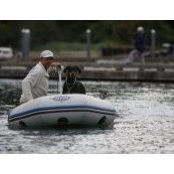 Jim Stolee's photo