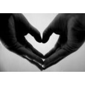 Melissa Rehm's photo
