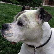 Michelle Behan's photo