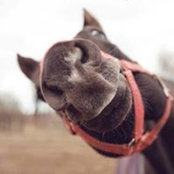 Theresa Mc's photo