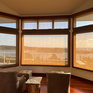Automated Shades