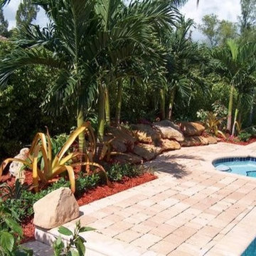 Tropical Landscape Design Ideas