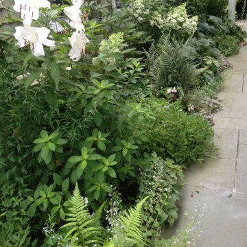 Flower Border, Water Mill, NY