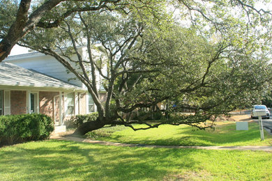 Residential Tree Trimming