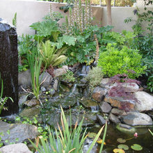 waterfalls