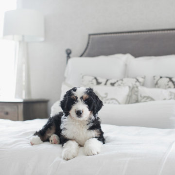 2016 GBAHB Ideal Home