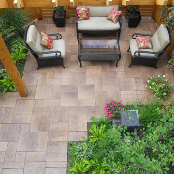 Toronto Backyard