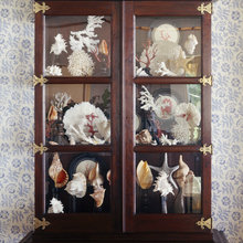 Display
