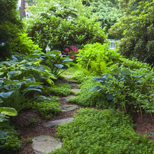 SHED GARDEN
