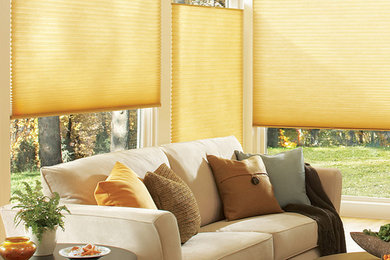 Example of a transitional living room design in Dallas