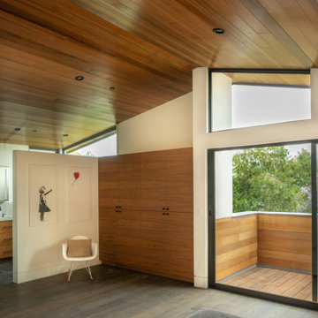 Venice Beach Contemporary Craftsman