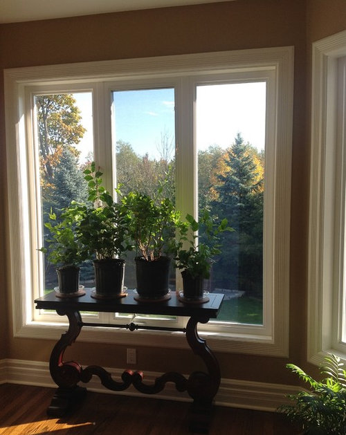 Need help with a table top planter