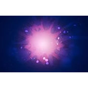 Daniel Farell's photo