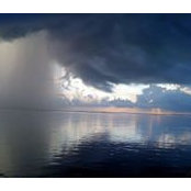 Barbara Hayes's photo