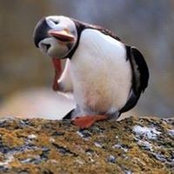 Debi Duin's photo