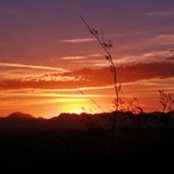 Sean Lay's photo