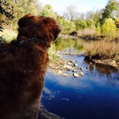 Becky Zimmer Block's photo
