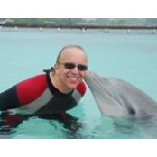Bruce Alans billede