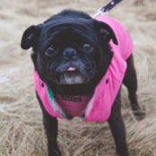 Shannon MacLean's photo