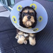 Joanne Arrizza's photo