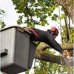 Secret Paradise Tree Service