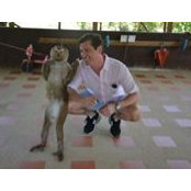 Peter Frank's photo