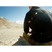 Jonny Lang's photo