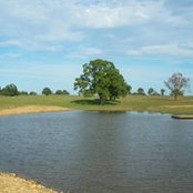 Tamie Dees's photo