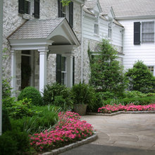 Landscape/front door