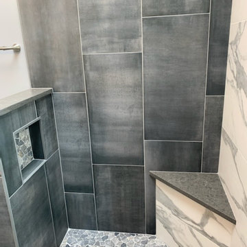 2021 Palatine, IL Master Bathroom Remodel