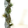 Octahedron Totem With Air Plants "Heart Chakra" Concrete Planter, Sacred Geo