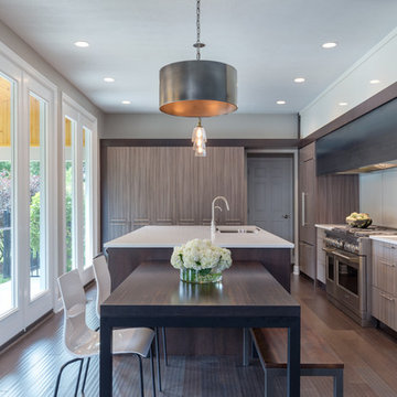 California Modern Kitchen in Rolled Steel and Painted Glass