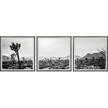 Wanderlust and Desert Dust Triptych, 36"x12"