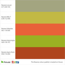 coral paint name
