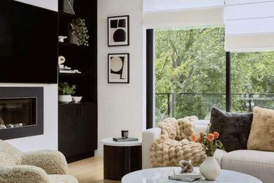 Inspiration for a contemporary living room remodel in San Francisco