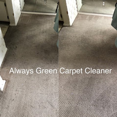 Always Green Carpet Cleaner Nyc Brooklyn Ny Us Carpet Cleaning