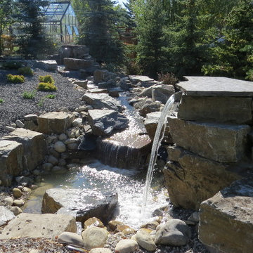 Backyard Renovation