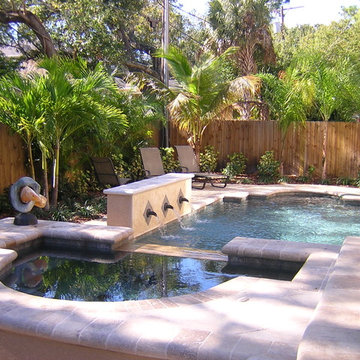 Tampa Florida Transitional Poo Spa Outdoor Living