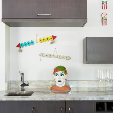 Whole House Contemporary Remodel in Riverwoods