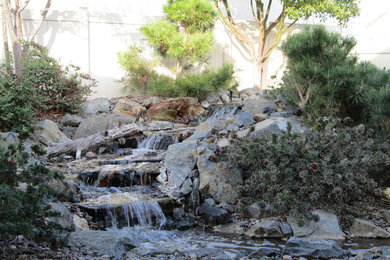 Design ideas for a mid-sized rustic full sun backyard landscaping in Los Angeles for summer.