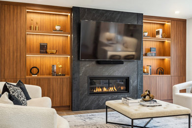 Living room - contemporary living room idea in Toronto