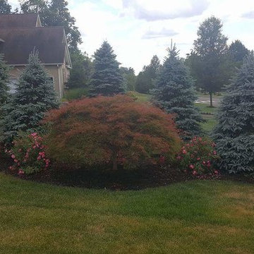 Landscape Design