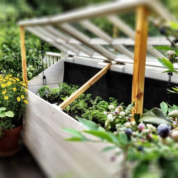 Container Gardens