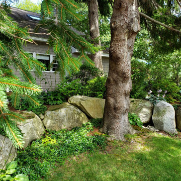 Design around existing trees
