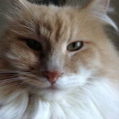Laura Grabow's photo